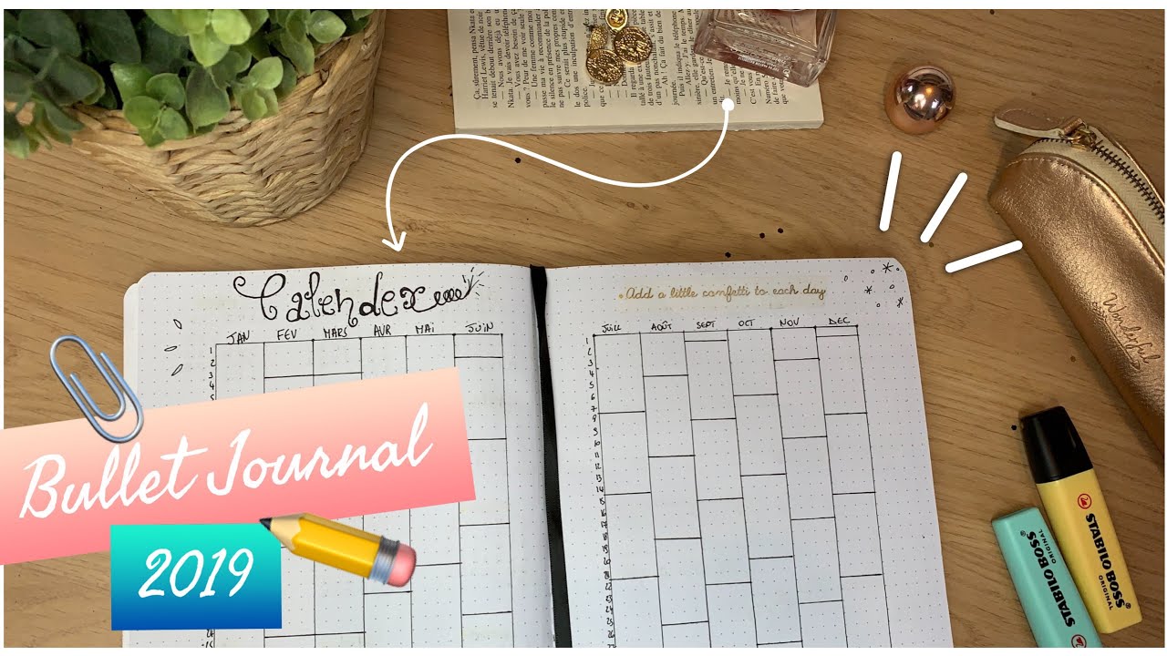 MON BULLET JOURNAL 2019 ⎜Simple & Efficace 💡