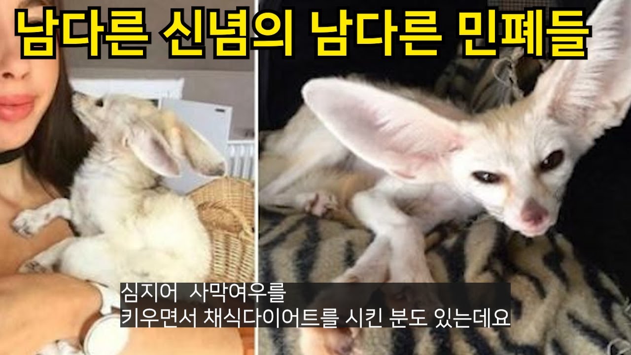 남다른 신념으로 끼친 희대의 민폐들