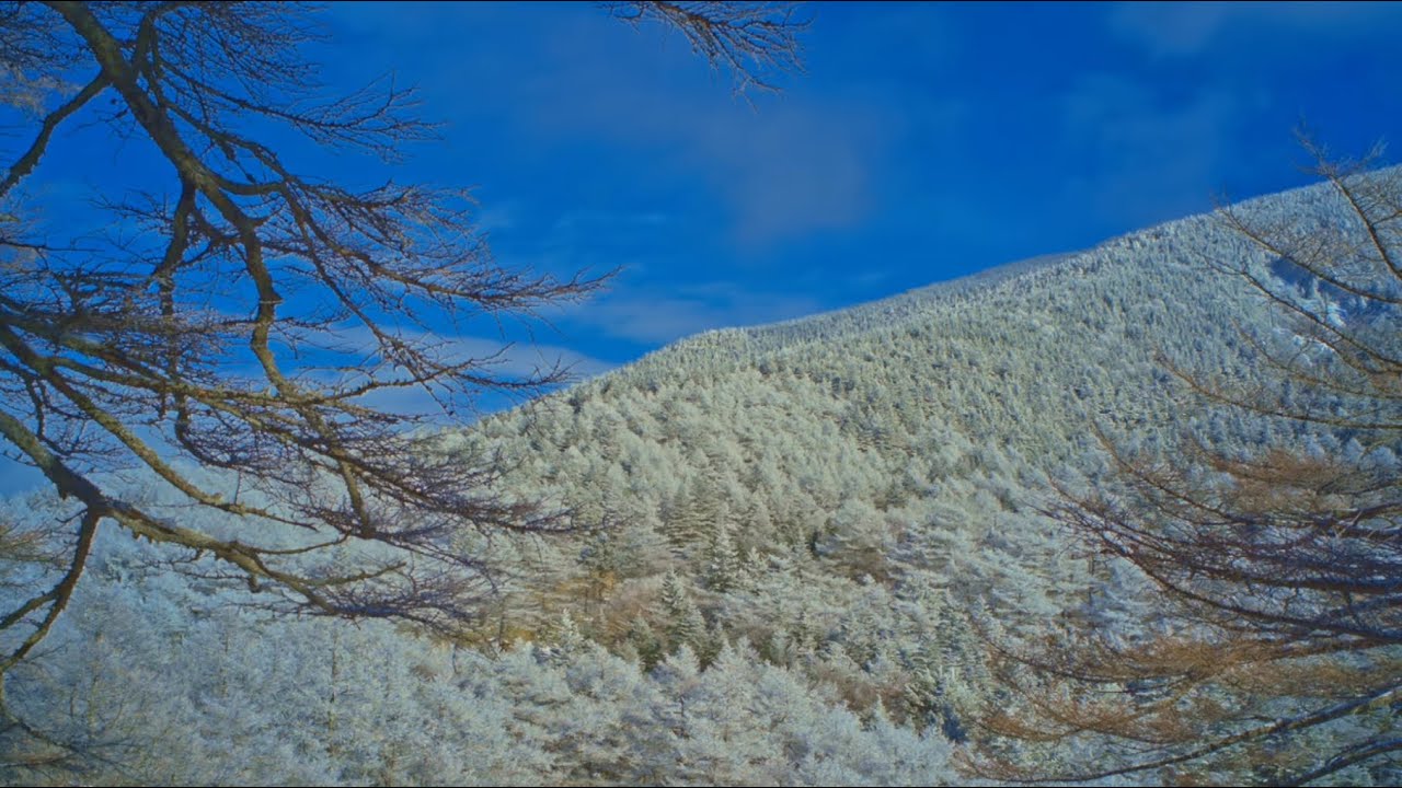 walking in the snowy mountains in winter /  SIGMA fp CINEMA DNG FHD