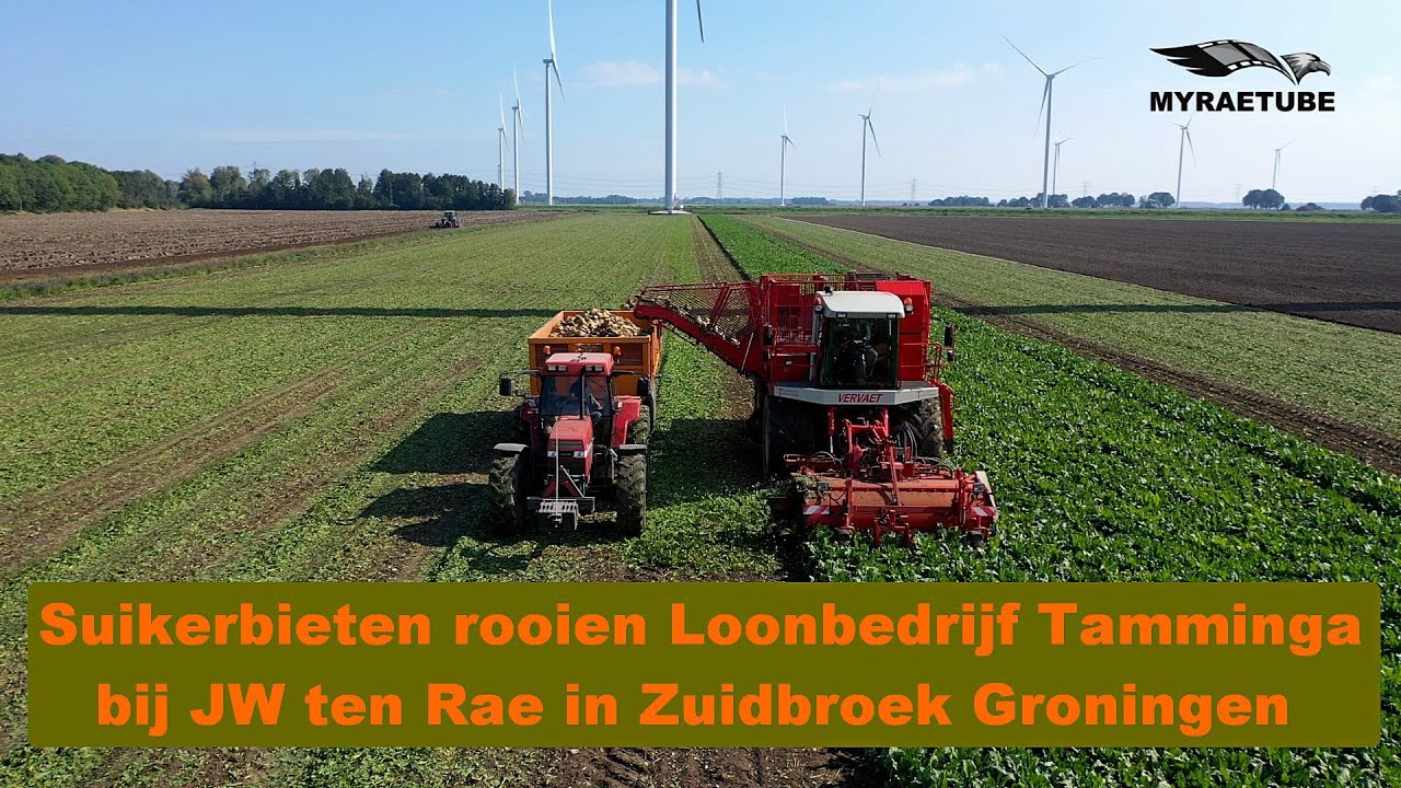 Suikerbieten rooien loonbedrijf Tamminga bij JW ten Rae Zuidbroek Groningen