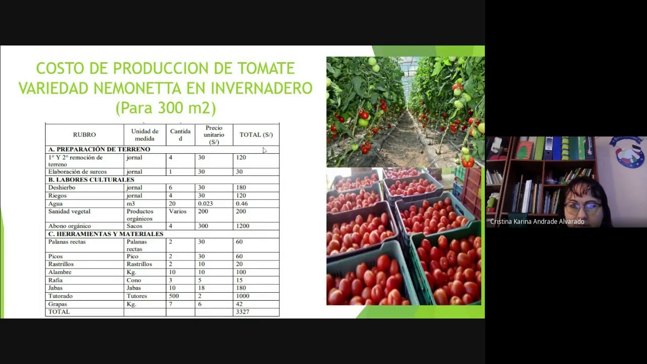 COSTOS DE PRODUCCIÓN DE TOMATE EN INVERNADERO