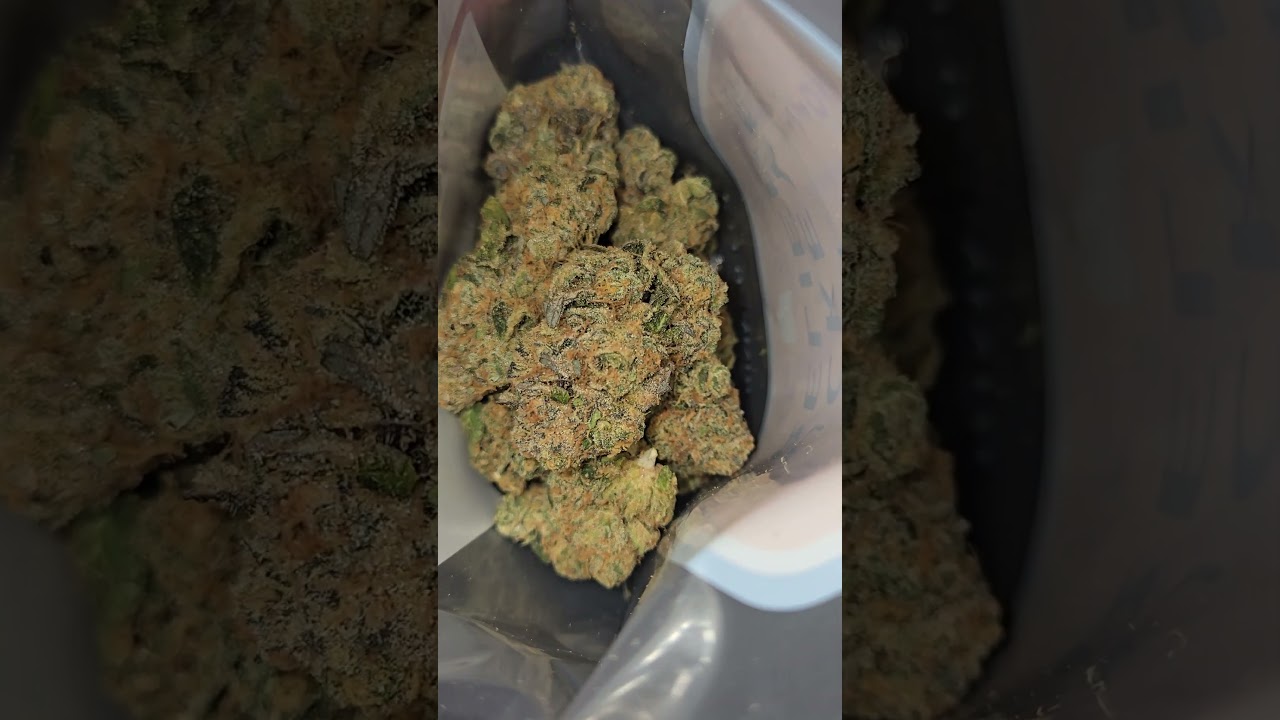 Lemon 🍋 Dosidos Buckeye Relief