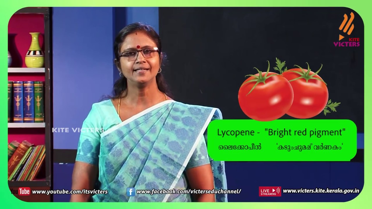 KITE VICTERS STD 9 Biology Class 02 (First Bell-ഫസ്റ്റ് ബെല്‍)