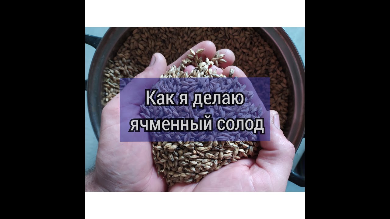 Как я делаю ячменный солод