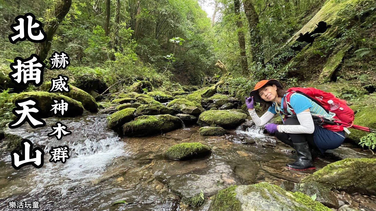 北插天山｜赫威神木群｜赫威山｜多崖山大O型｜登山口2進1出［樂活玩童NO.98]2023/08/07