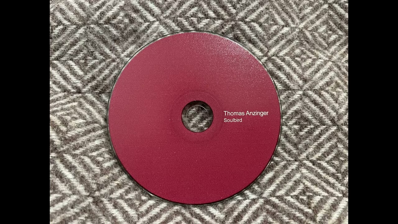 Thomas Anzinger - Fly Away