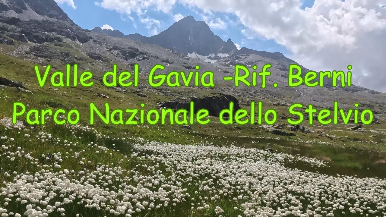 Valle del Gavia -Rifugio Berni-Parco Nazionale dello Stelvio