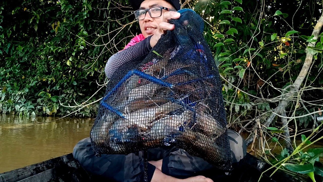 Nggak nyangka‼️MANCING UDANG GALAH DIWAKTU YANG TEPAT strike sebanyak ini