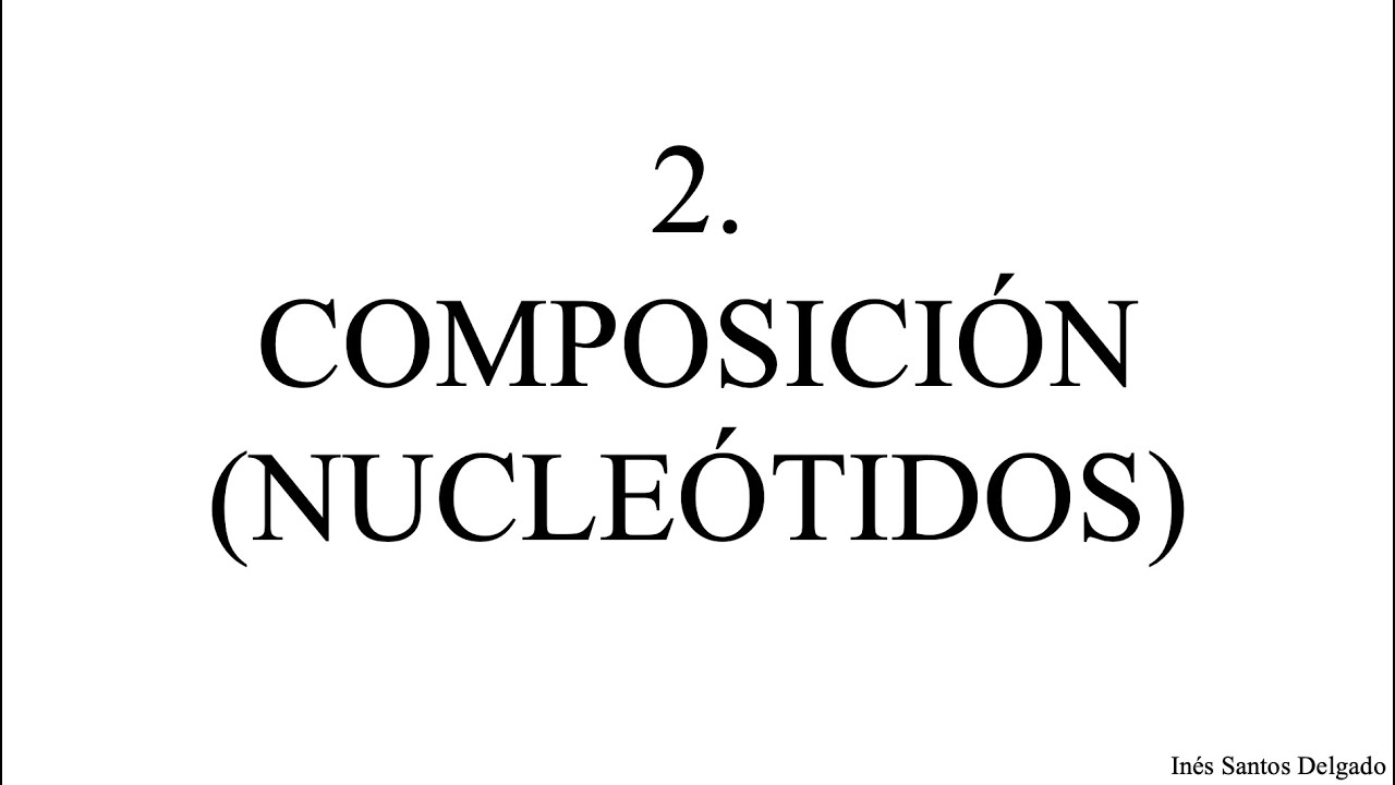 2.  Composición (Nucleótidos)