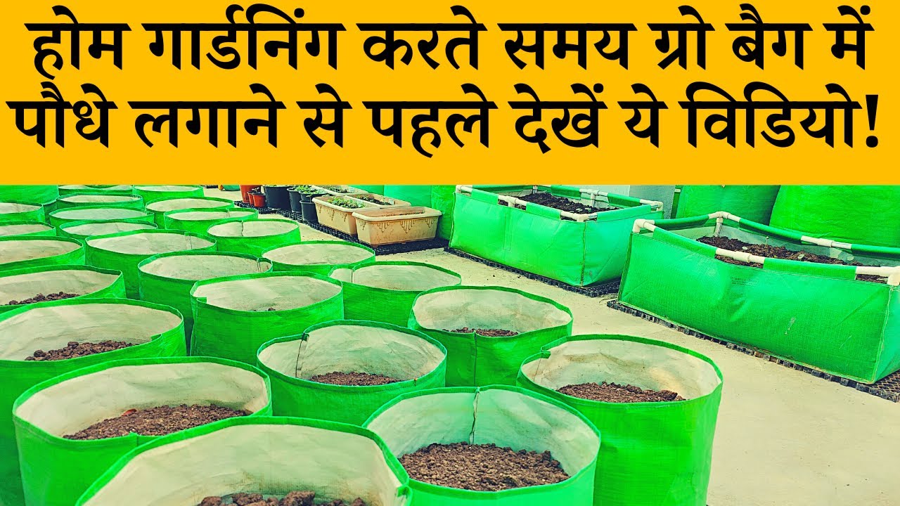 Gardening In Grow Bags: होम गार्डनिंग करते समय ग्रो बैग में पौधे लगाने से पहले देखें ये विडियो!