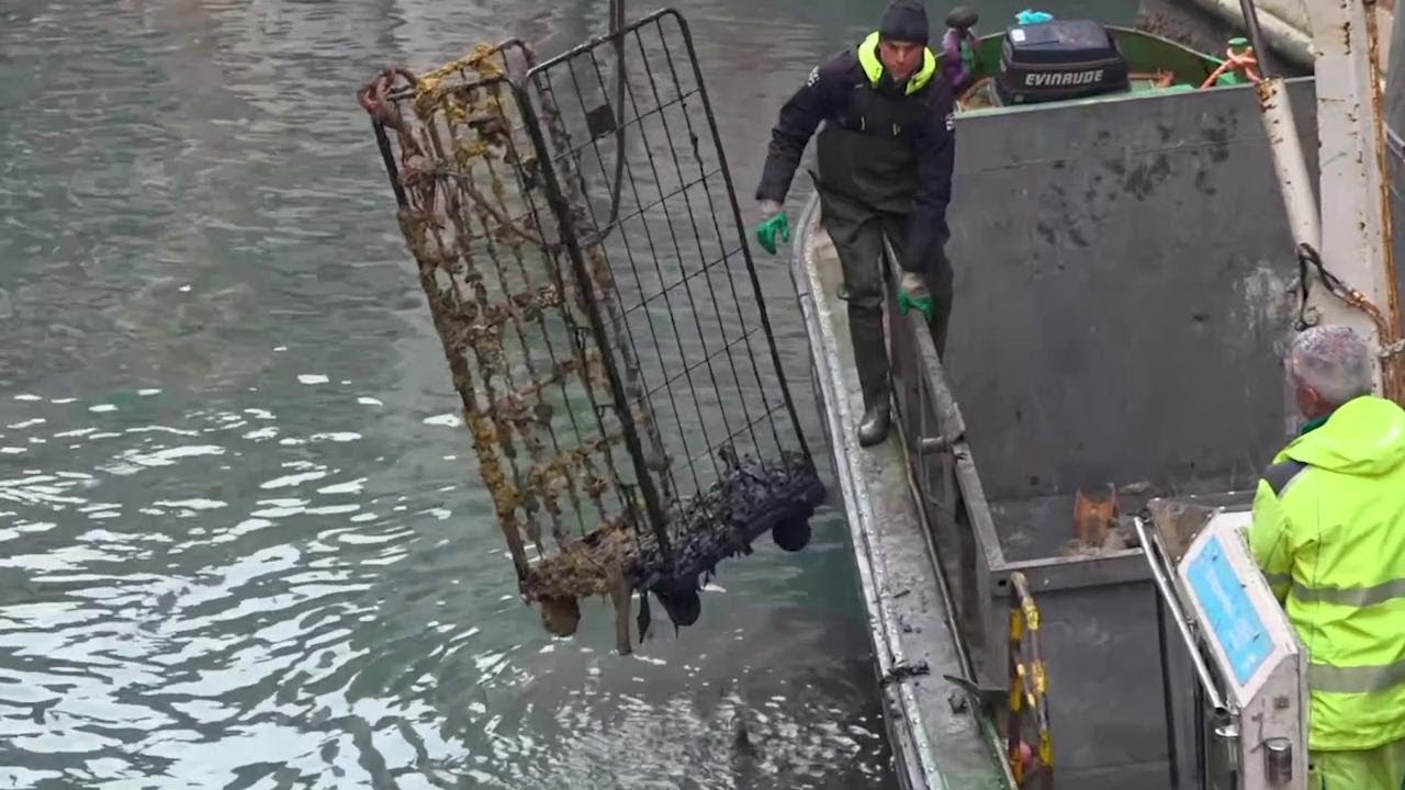 Venezia, gondolieri-sub ripuliscono i canali dai rifiuti: c'è anche un carrello da lavanderia