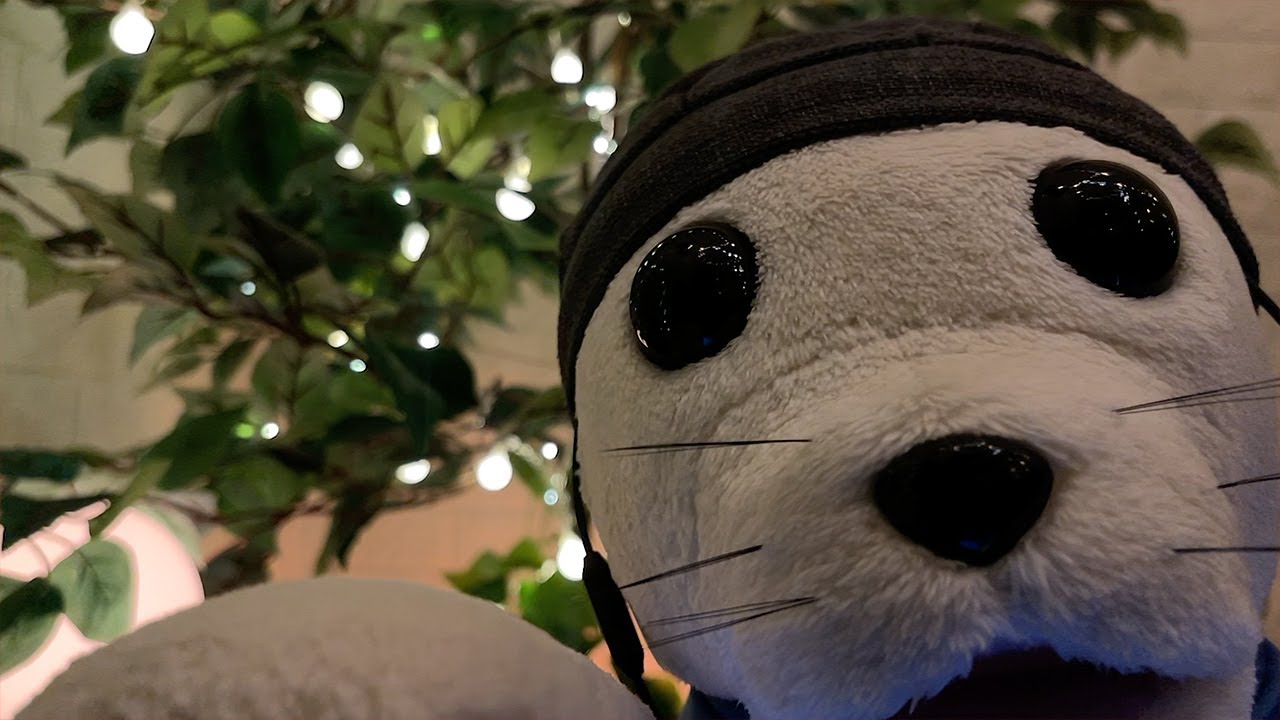 ASMR Fluffy Seal Uses You as His Touchscreen 🐾 Cozy Customer Support Roleplay | Fireplace Ambience