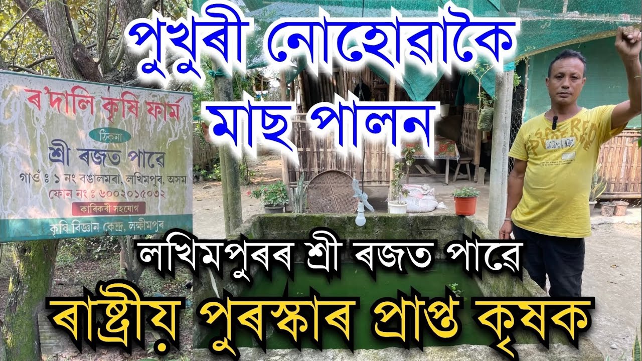 পুখুৰী নোহোৱাকৈ মাছ পালন।ৰাষ্ট্ৰীয় পুৰস্কাৰপ্ৰাপ্ত কৃষক লখিমপুৰৰ ৰজত পাৱে Pranjal Gogoi#farming