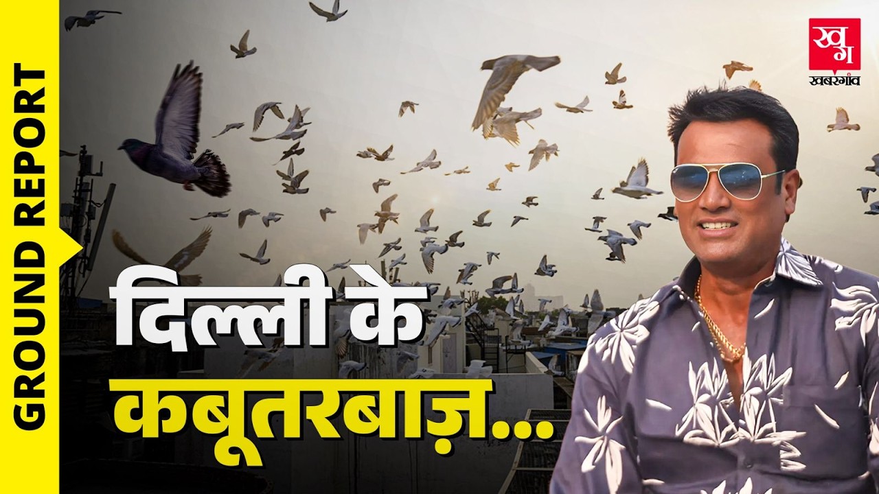 Old Delhi&rsquo;s Famous Kabootarbazi, दिल्ली की छतों से उड़ती कहानियां | Ground Report | Delhi 6