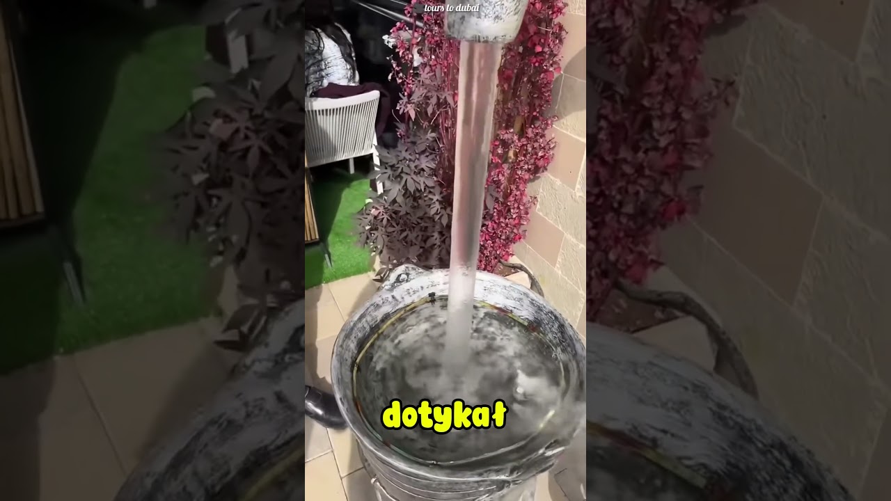 Wszyscy myśleli, że to magia… prawda wyszła na jaw!🤩🤔