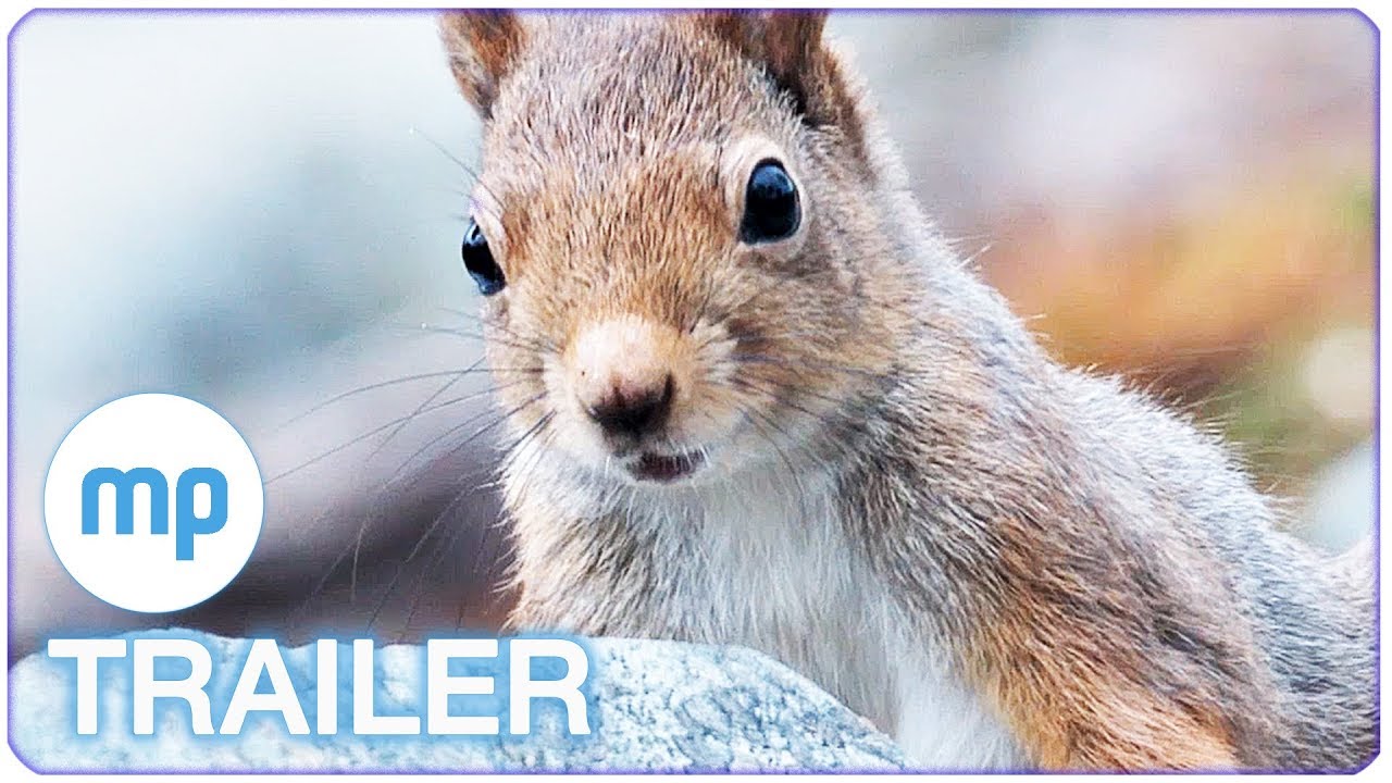 AILOS REISE Clip & Trailer Deutsch German (2019) Exklusiv