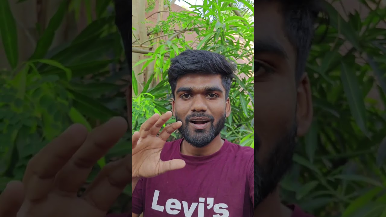 Pulsar 150 Twin Disc Tamil Review🤩| Top 3 reason Why Should you Buy ?
