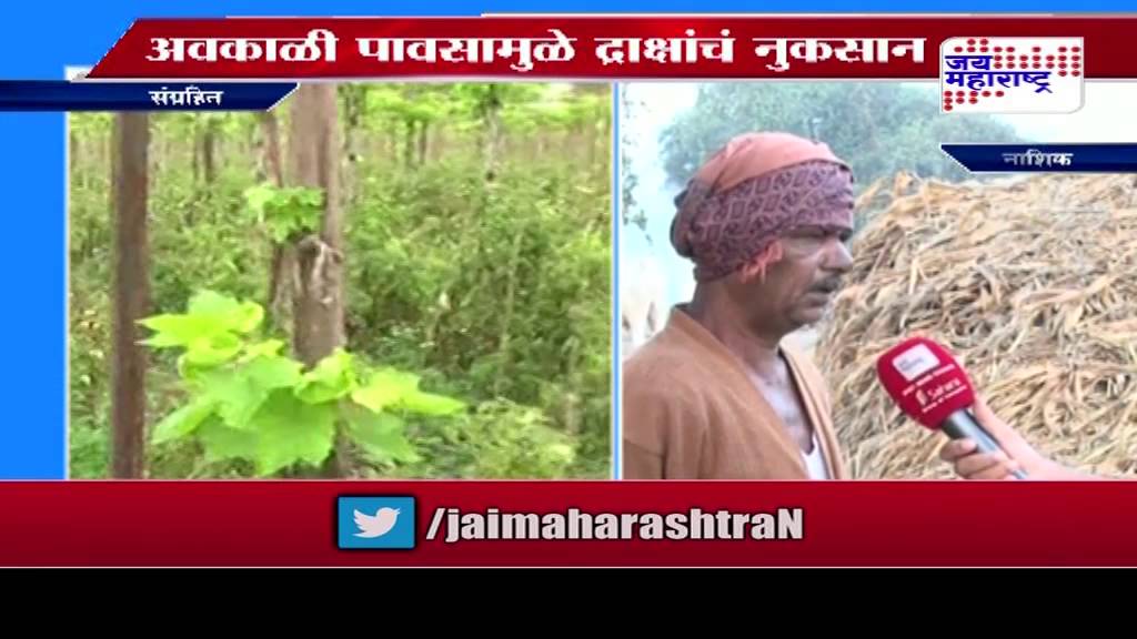 Hailstorm after Drought damage crop in Maharashtra