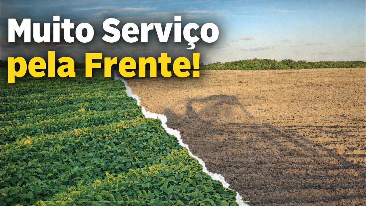 MOSTRANDO UM POUCO DAS NOSSAS ROÇAS DE BATATA DOCE