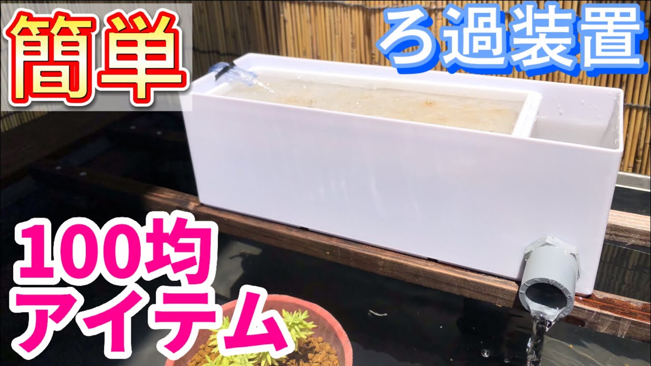 「100均の収納ケースで簡単ろ過装置製作‼︎」　メダカ飼育　メダカビオトープ　金魚