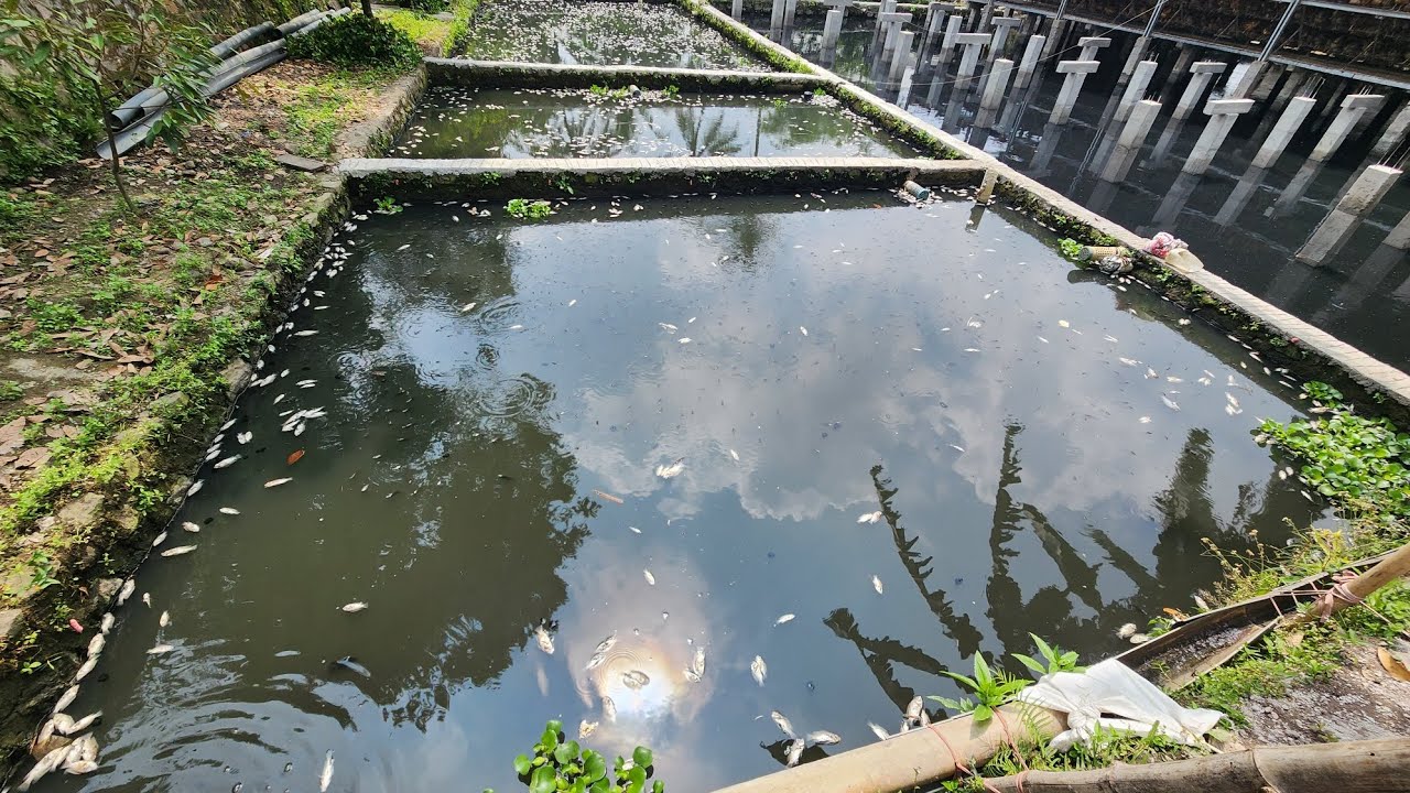 Pembuktian Air Yang Masuk Dari Selokan