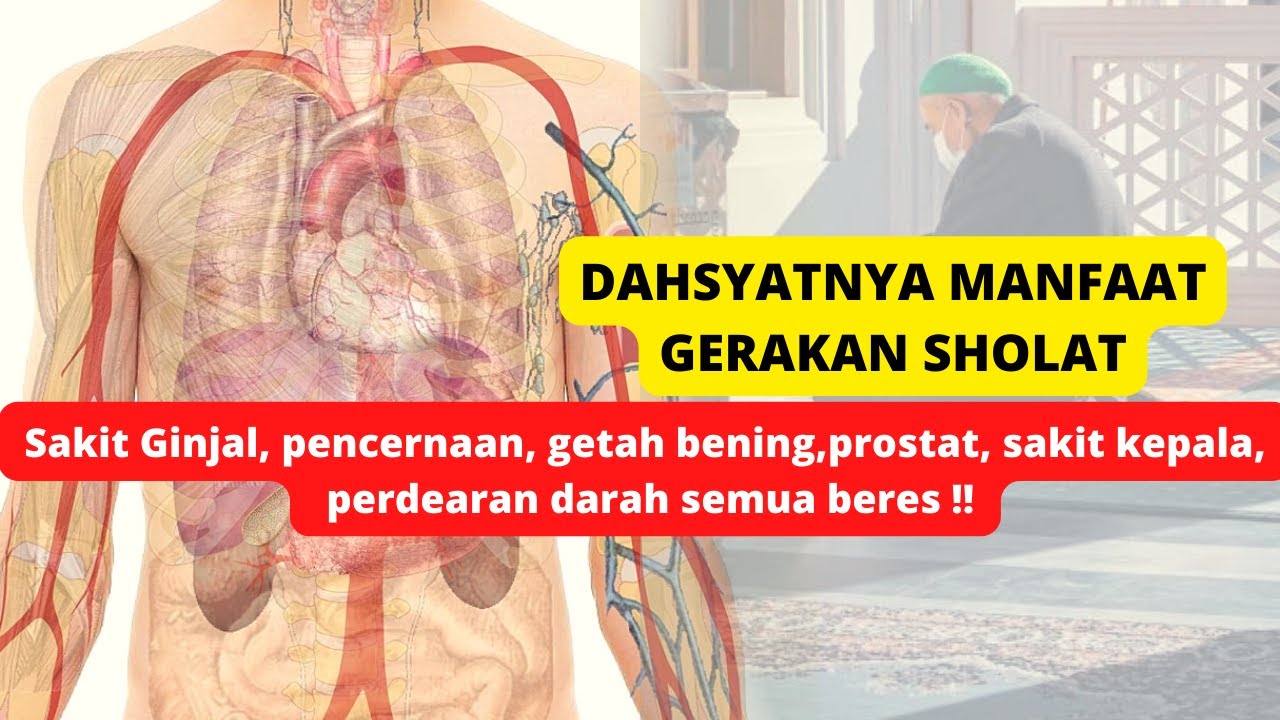 Dahsyatnya Manfaat gerakan Sholat | Gangguan Ginjal, prostat, getah bening semua beress !!!