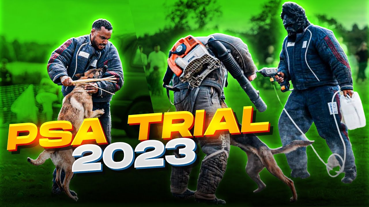 PSA DOG SPORT TRIAL UK 2023