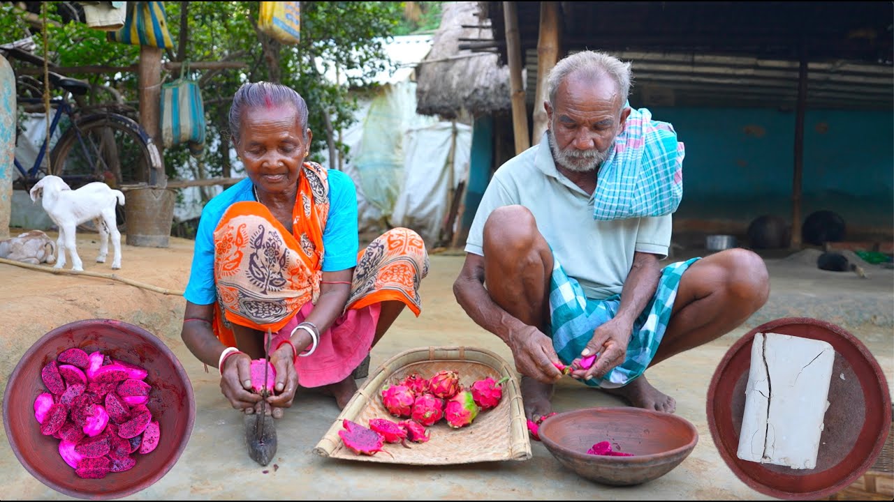 DRAGON WINE MAKING | primitive technology steamed dragon wine making by Indian tribe food grandpa |