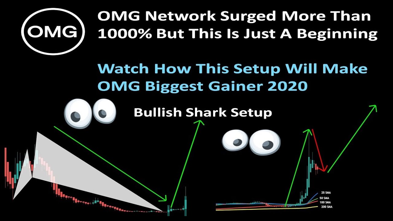 OMG Network Surged More Than 1000% This Is Just A Beginning | OmiseGO Can Be Biggest Gainer Of 2020