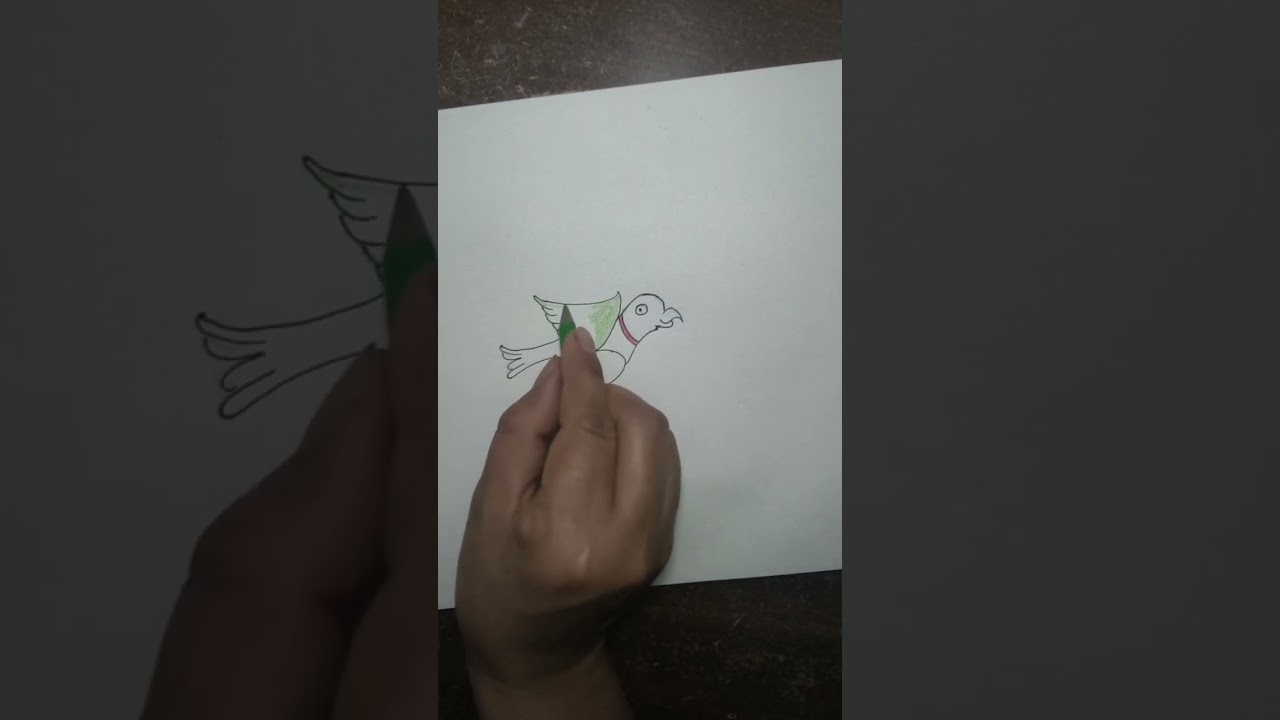 How to Draw parrot 🦜 Drawing ll simple pencil drawing 