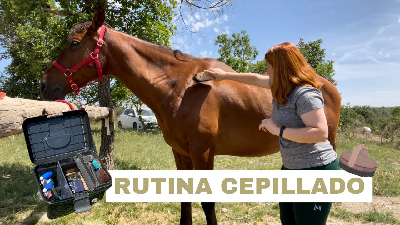 Mi rutina de cepillado con mi caballo | Laia x Xaloc