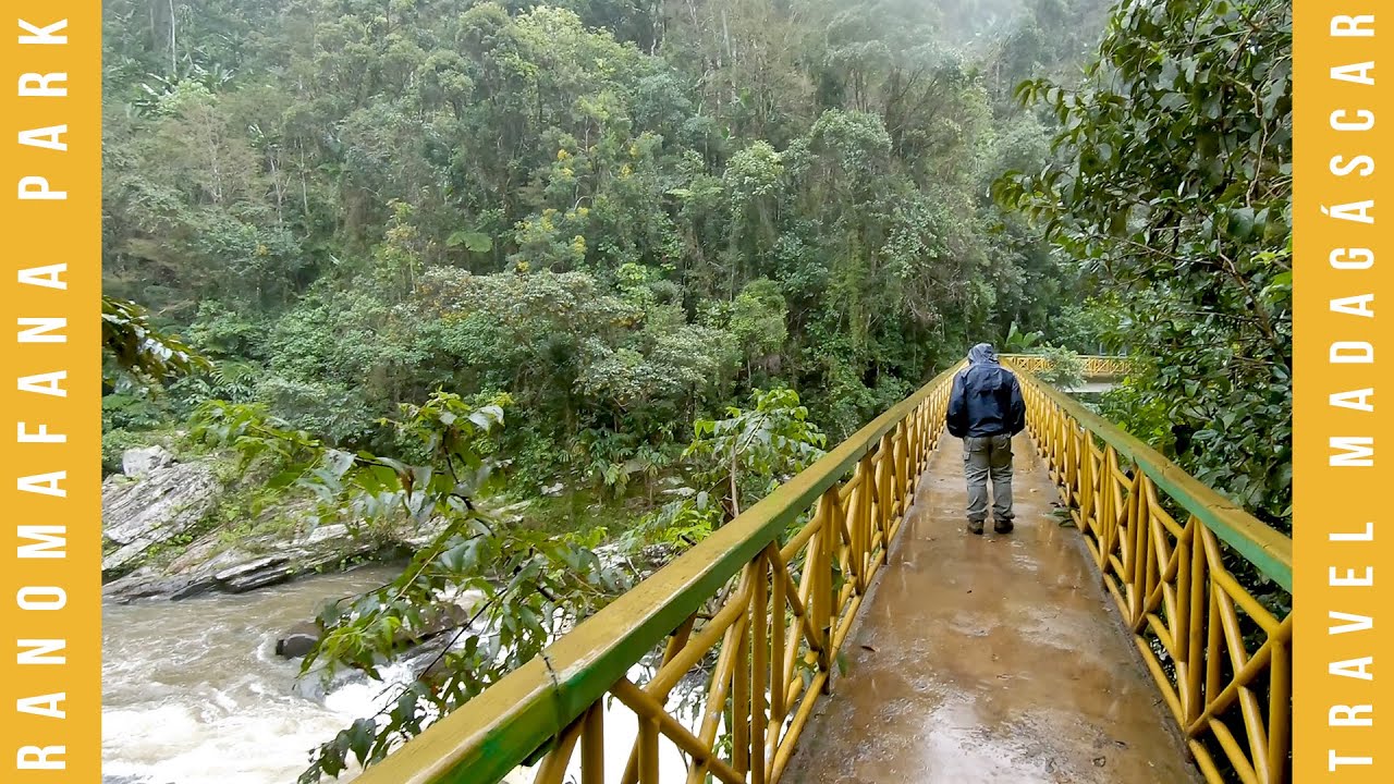 Madagascar | Ranomafana National Park  🇲🇬