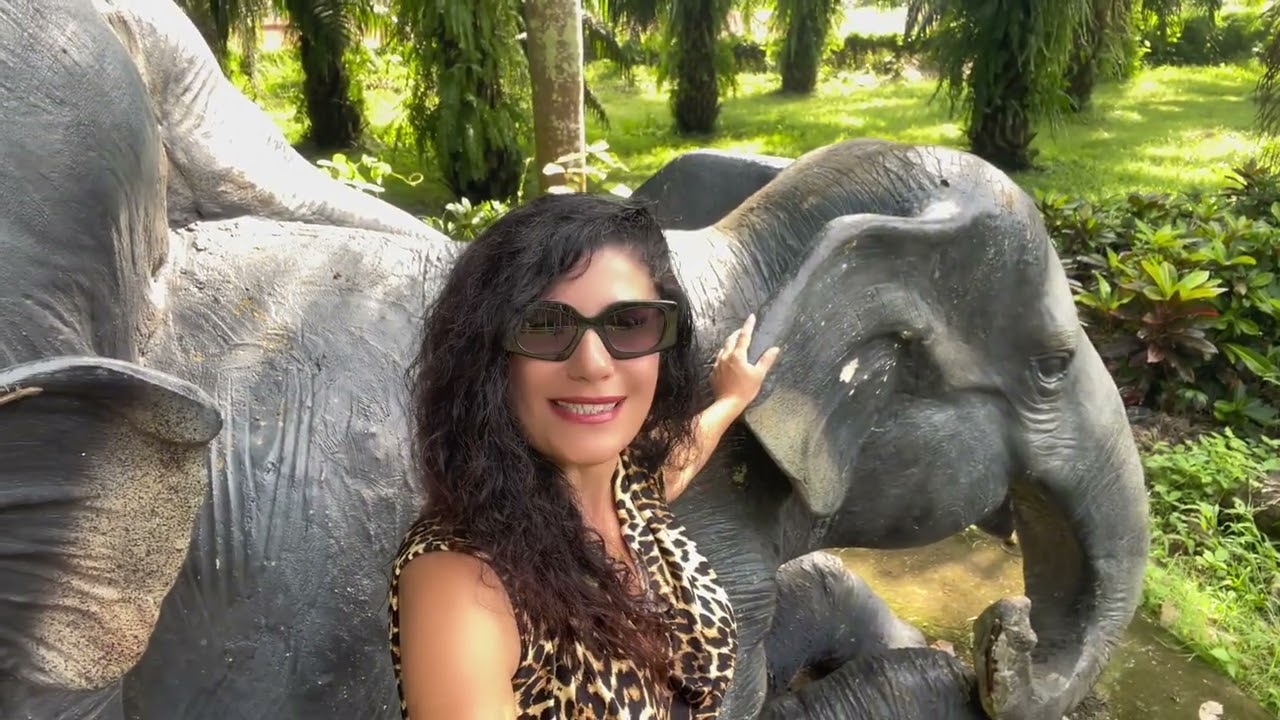 Tayland hayvanat Bahçesi & Çiçek Bahçesi🐘 Anne Fil & Yavru Fil