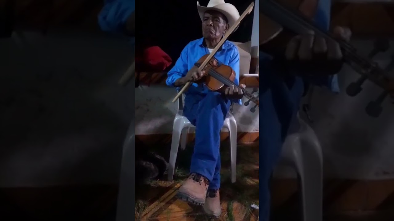 Música de violín 🎻