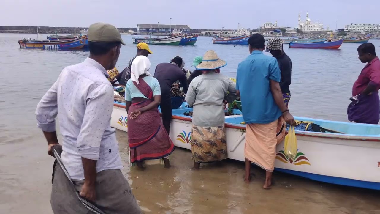 വിഴിഞ്ഞം fishing harbour 