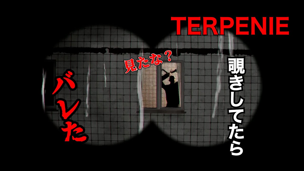趣味は覗きです。『TERPENIE 』