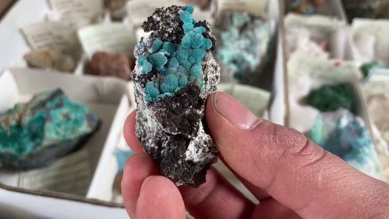 Arizona Minerals Specimens Malcolm Alter | Mineral & Fossil Marketplace Tucson Gem Show 2025