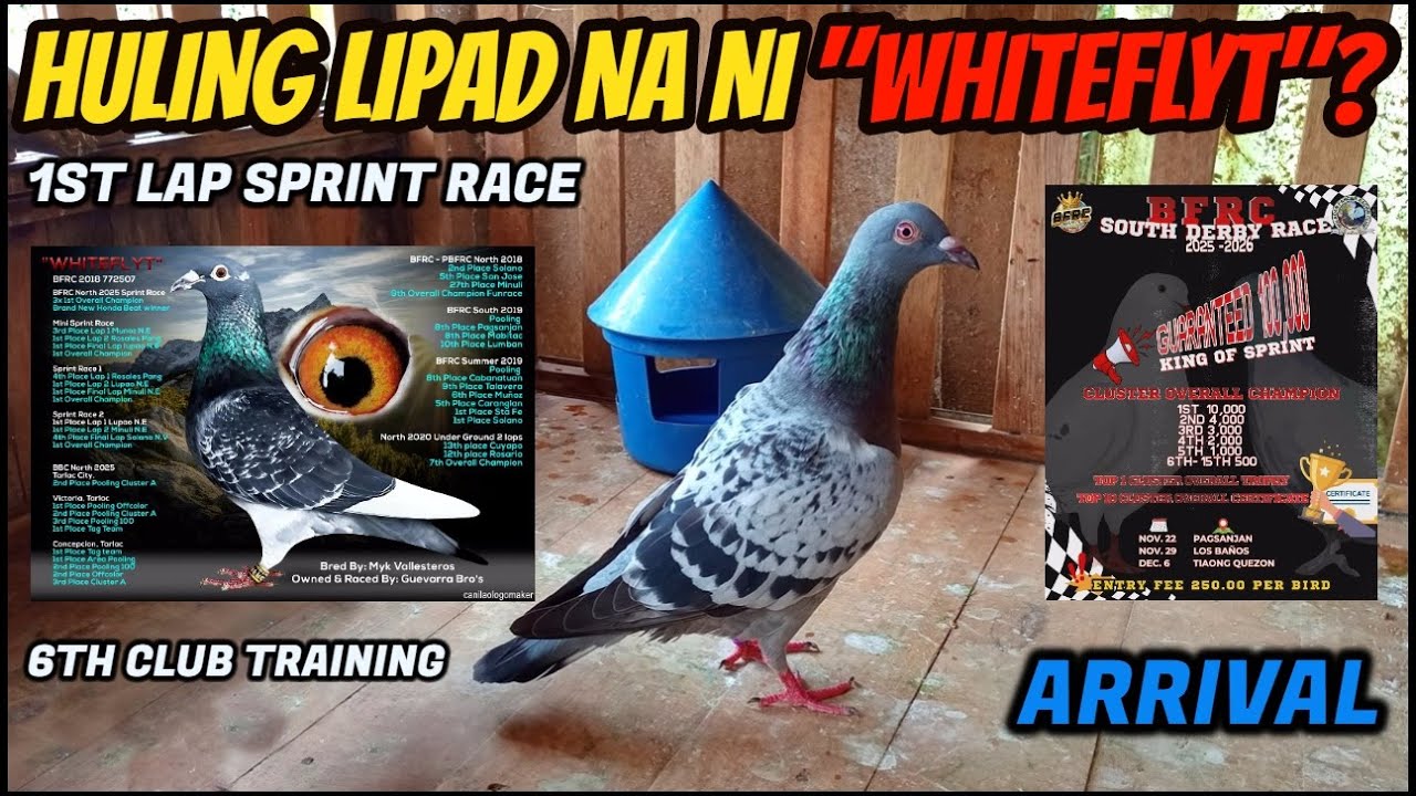 HULING LIPAD NI 