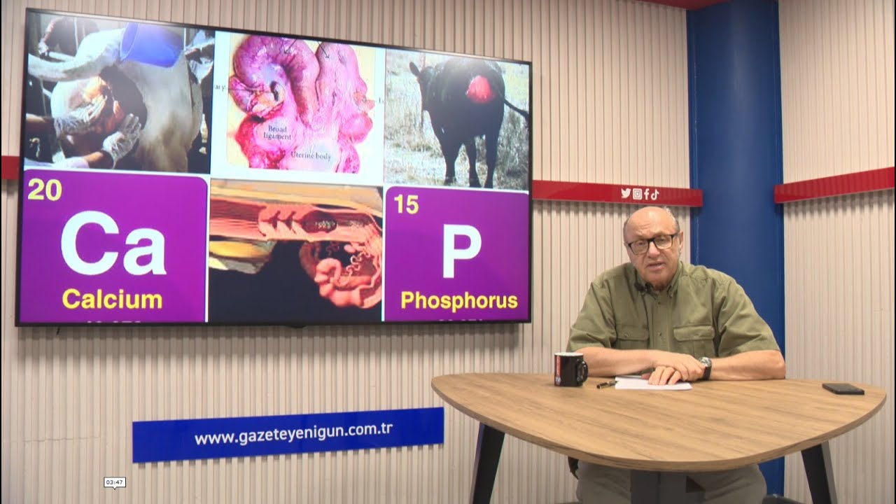 &Ccedil;iftlik Hayatı Programında Bu Haftaki Konumuz l  İneklerde Rahim Sorunları