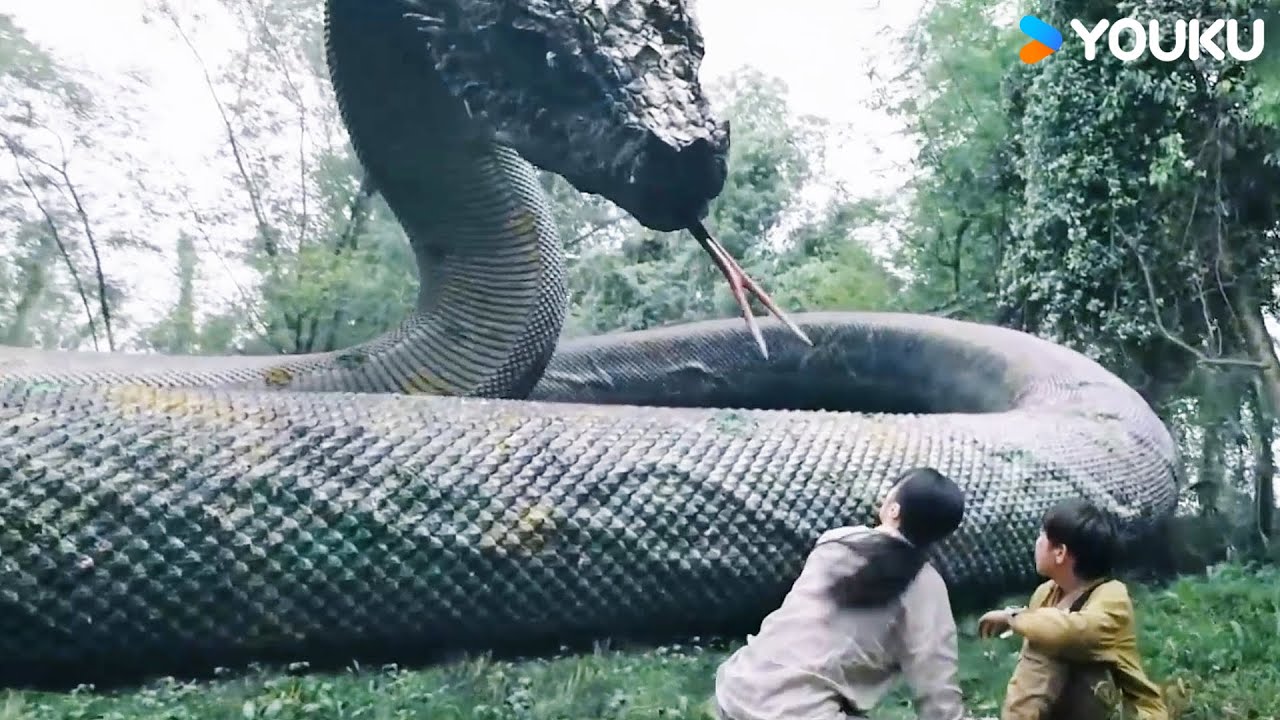 👦🦖💥Giant snake's tail flung away T-Rex chasing mother and child! | Snake 3 | YOUKU MONSTER MOVIE