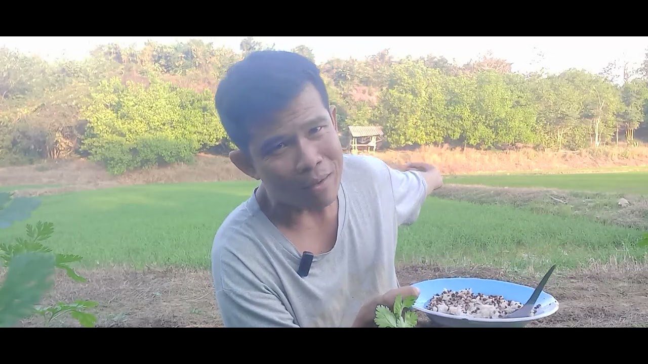 พาชมบรรยากาศยามเย็น ทุ่งนาเขียวข กินน้ำพริกข่ากับต้นหอม