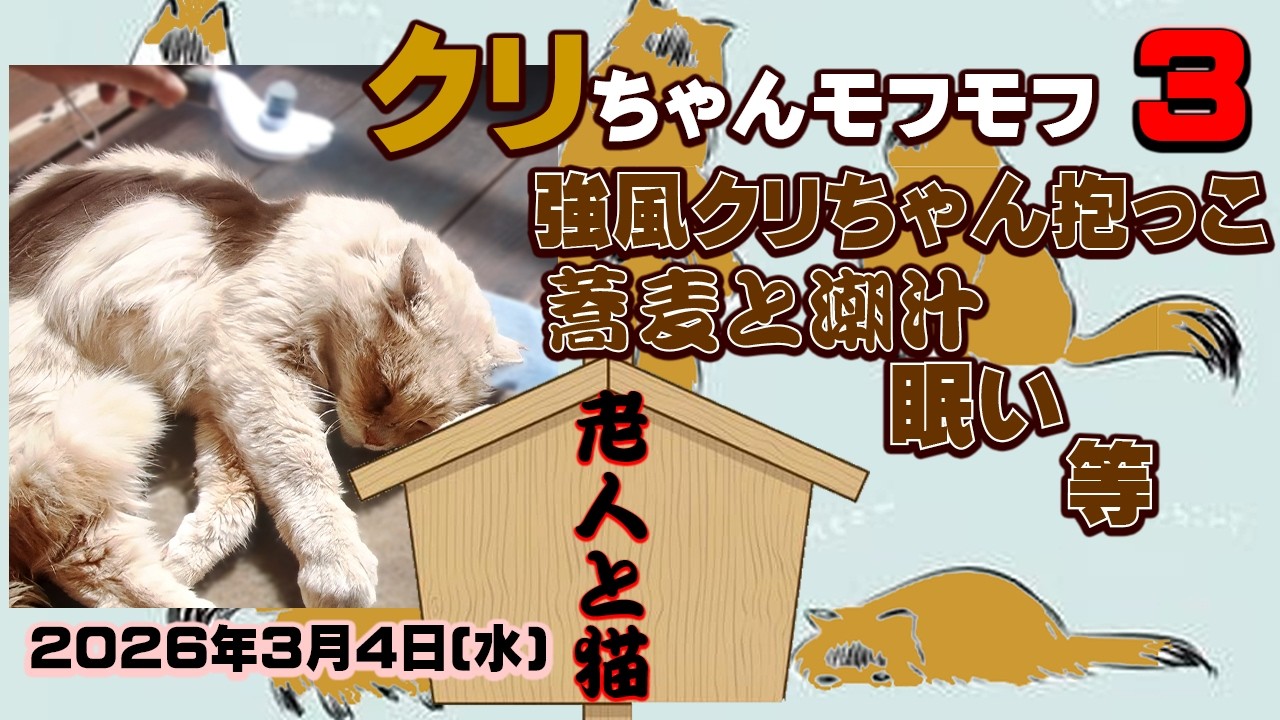 【外猫クリちゃんモフモフ3】強風でクリちゃん抱っこ　晩ご飯蕎麦と潮汁 等