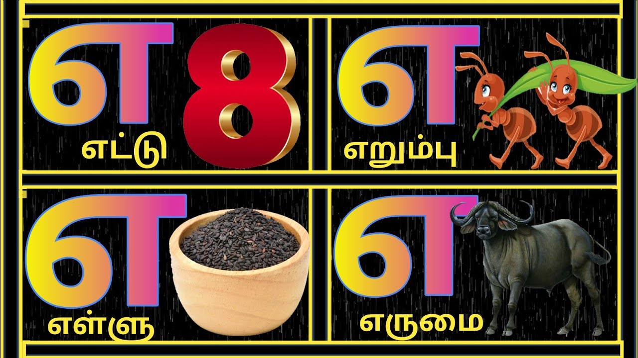 உயிர் எழுத்துக்கள் எவரிசை / uyir eluthukkal / எ வரிசை தமிழ் சொற்கள் / எ வார்த்தைகள் / Learn Tamil