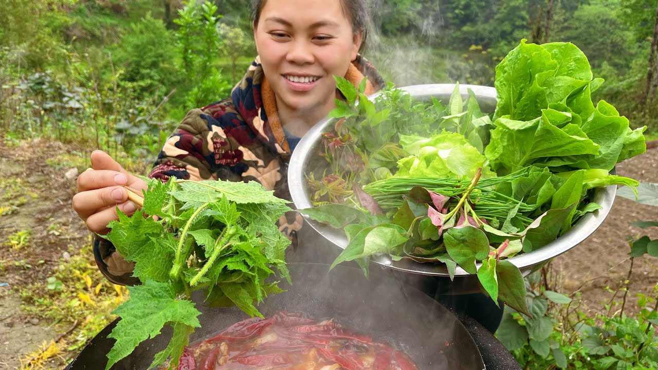 今天摘了很多種野菜，配上五花肉做個火鍋，滿滿壹大盆野菜吃到飽 I made a wild vegetable hotpot today