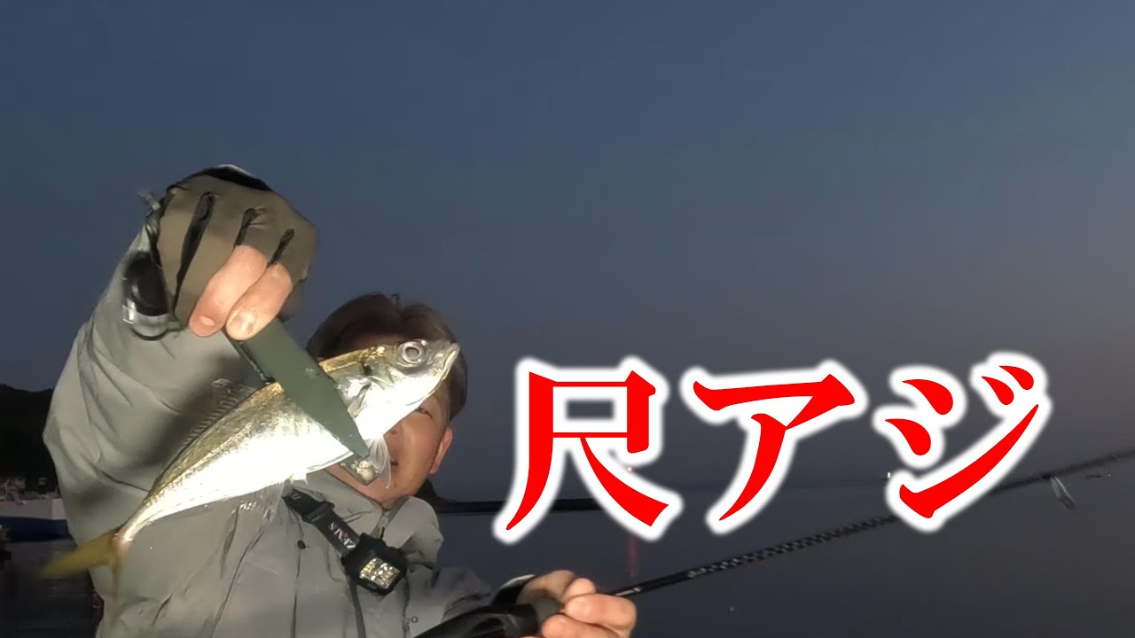 尺アジ！新色で入れ食いアジング！