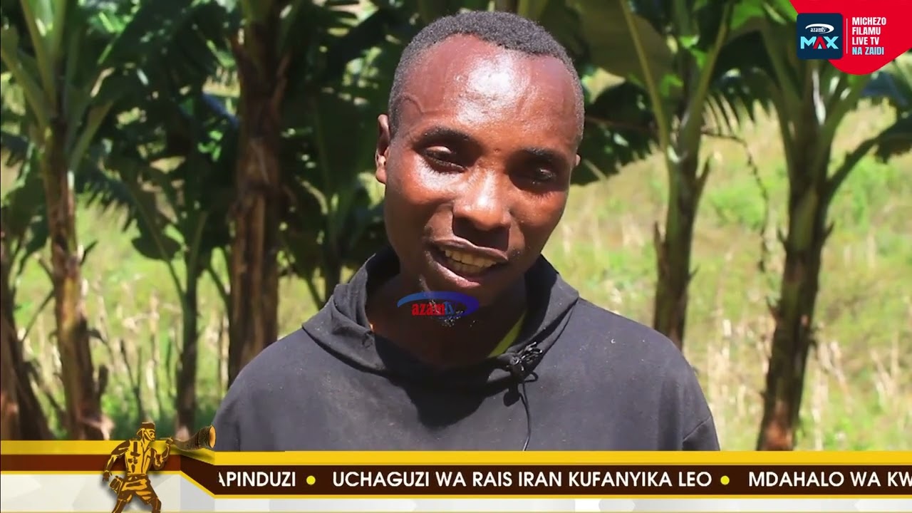 DC Gairo na AgriWezesha wabuni mradi wa parachihi kuinua uchumi wa wananchi, kulinda mazingira
