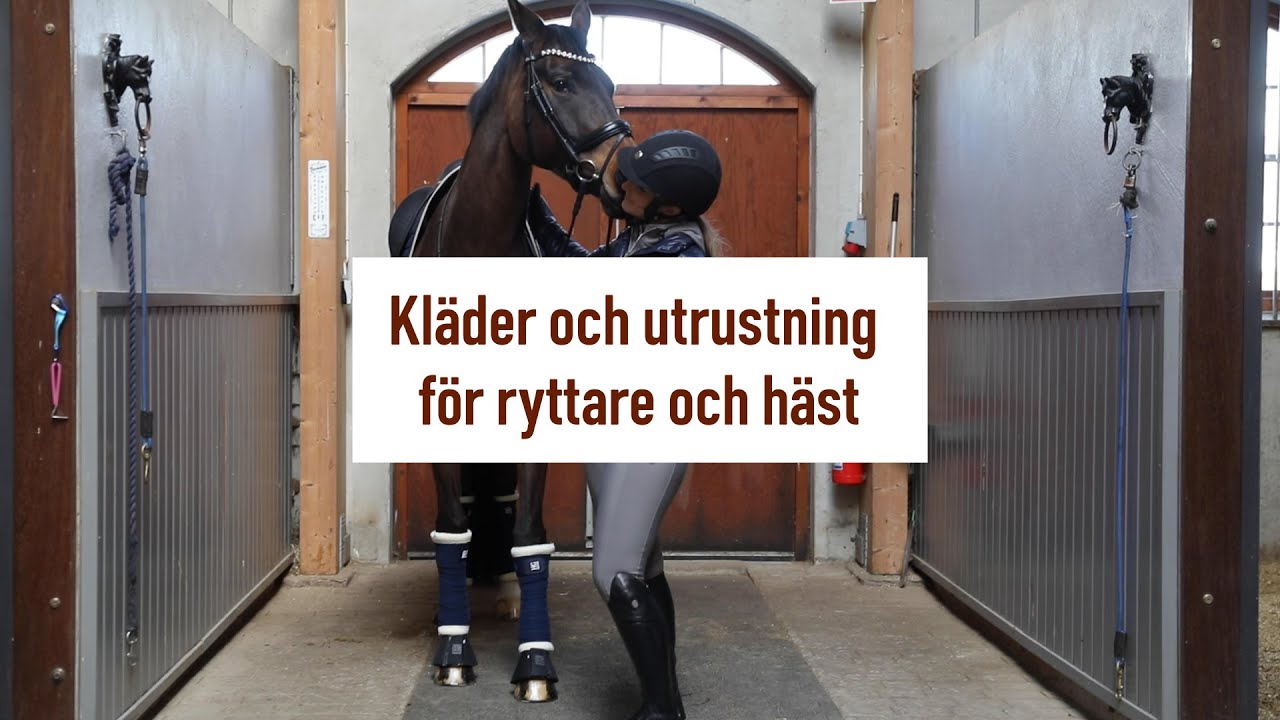 Rätt utrustning för ryttare och häst