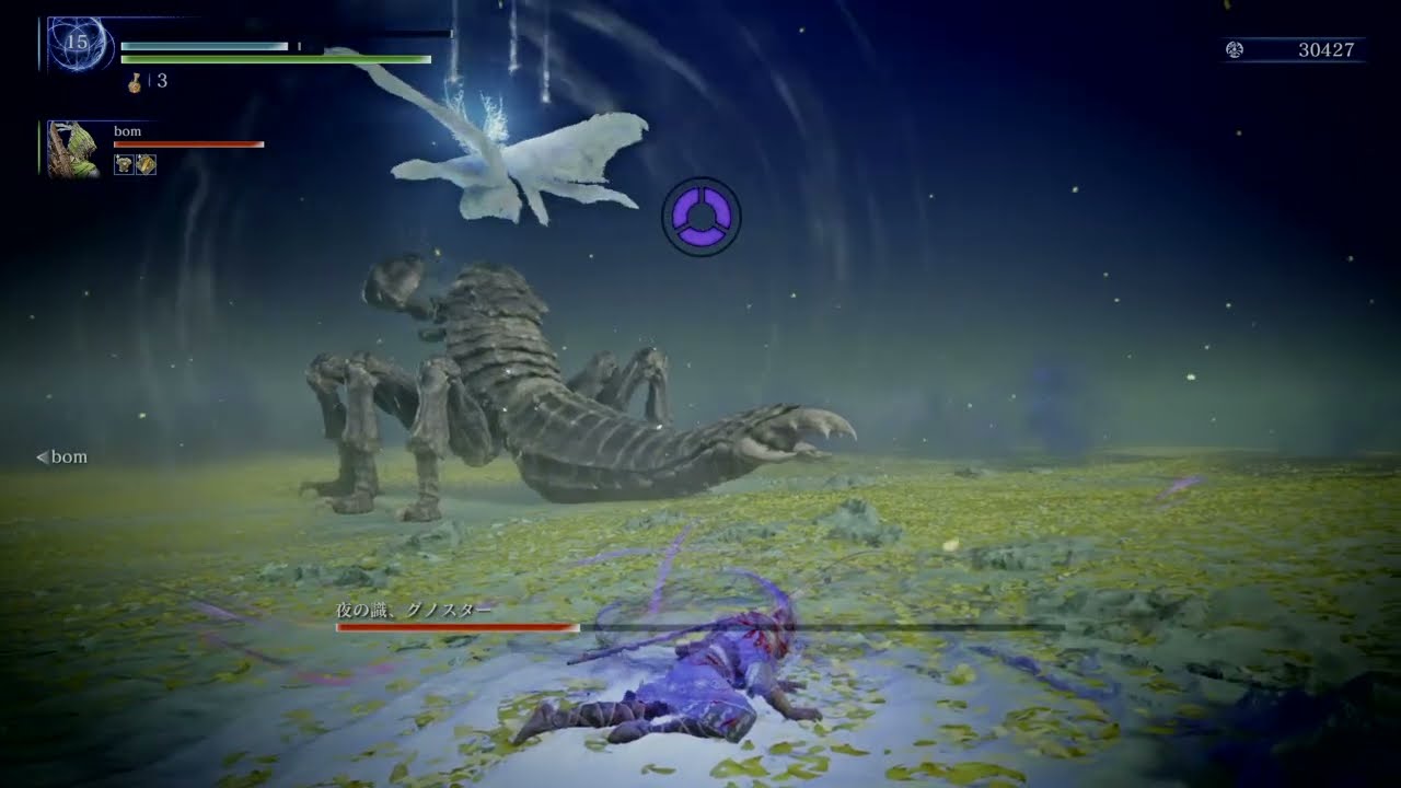 グノスター Duo DEFEAT ELDEN RING NIGHTREIGN 20250923