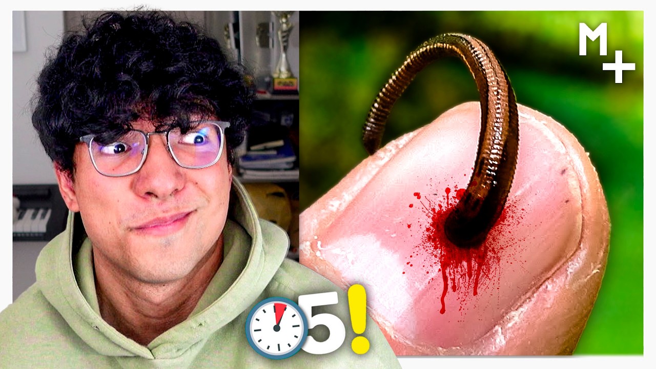 Magma Ve 80 COSAS QUE NO SABÍAS 39 😳⏰
