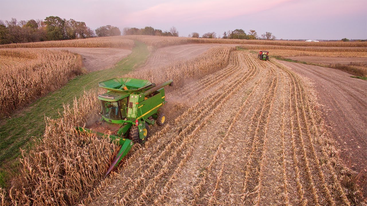 Sinkholes - Harvesting Corn